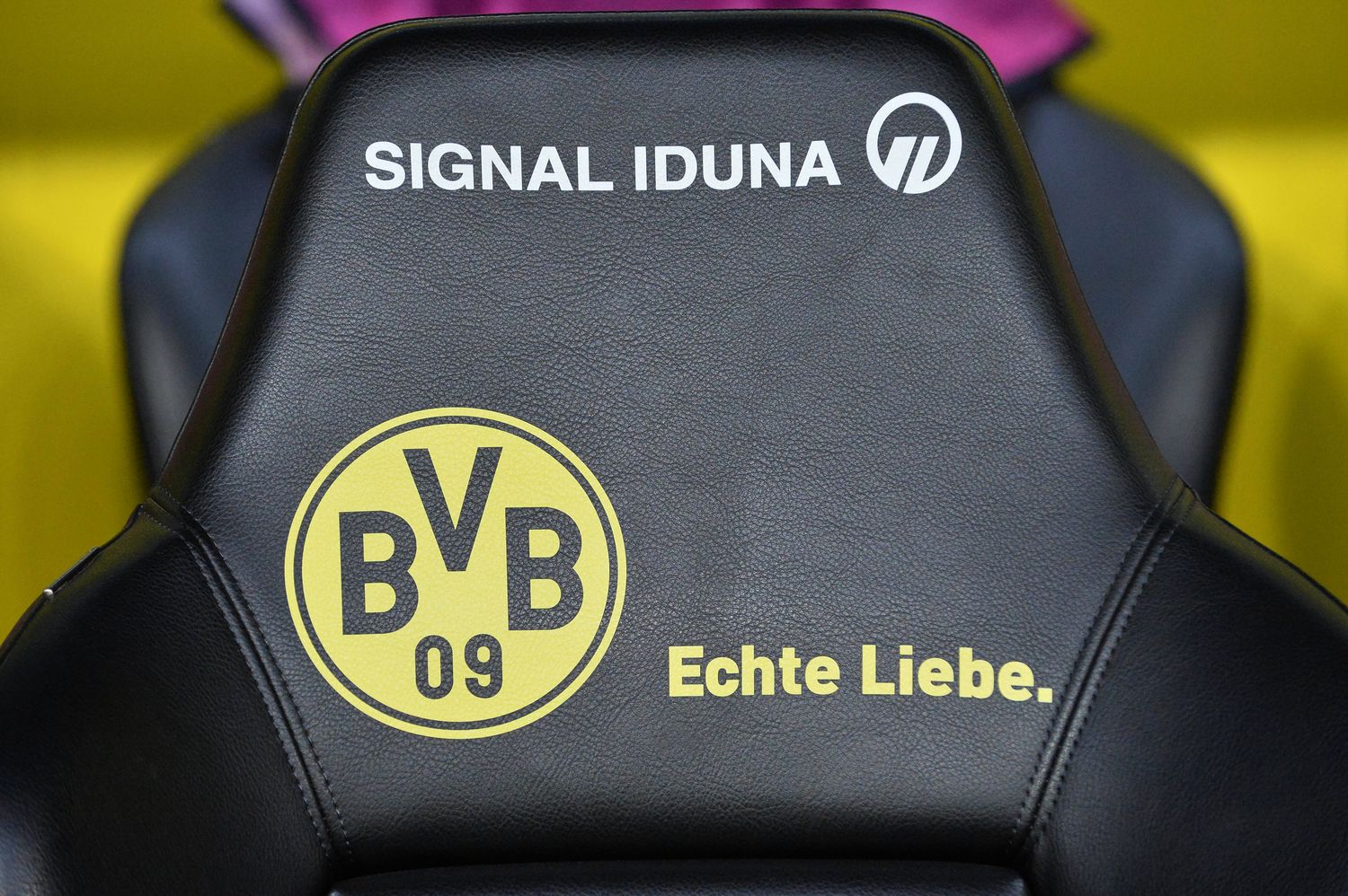 BVB Echte Liebe