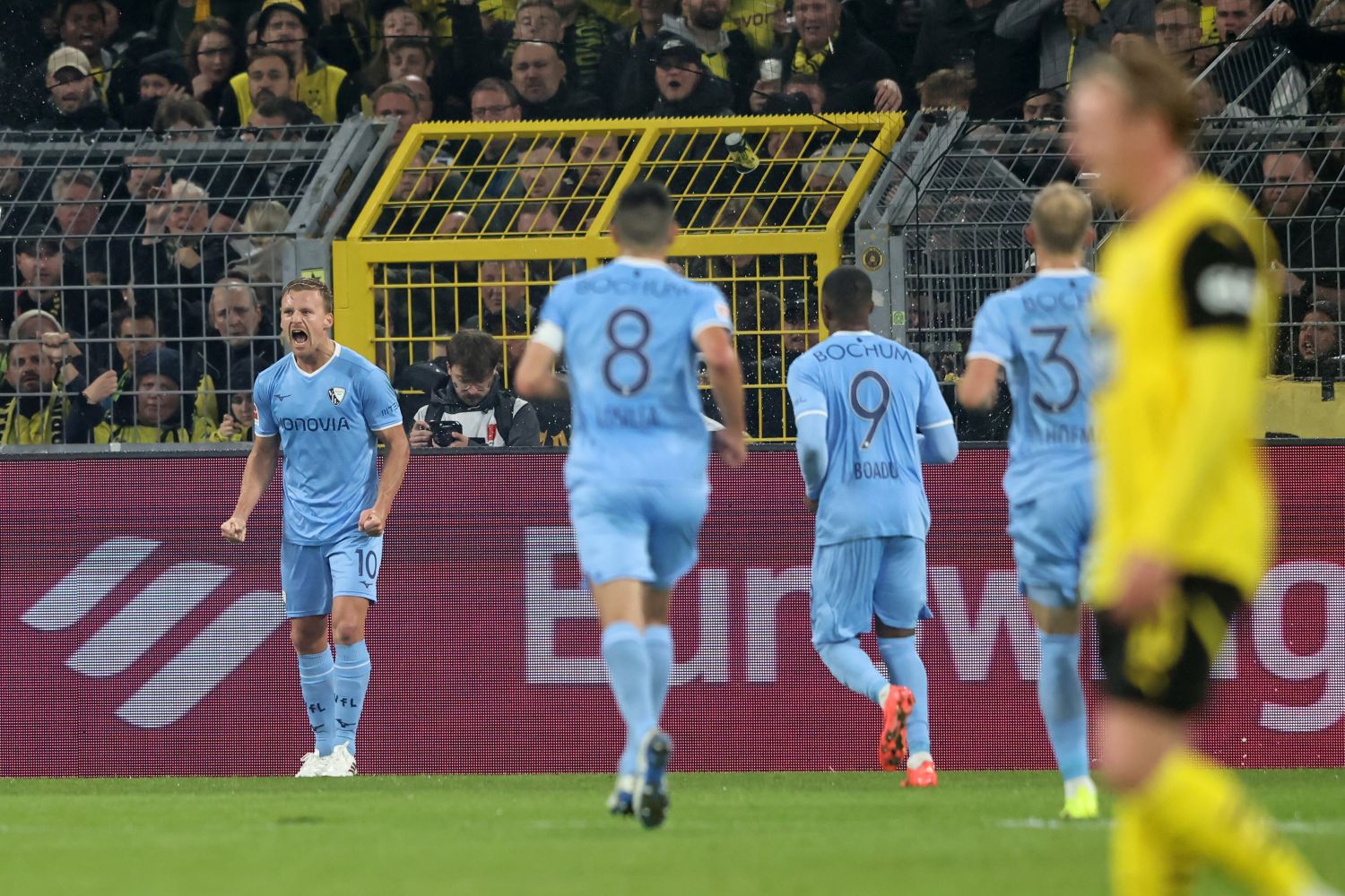 Dani de Wit jubelt über sein Tor für den VfL Bochum im Signal Iduna Park gegen Borussia Dortmund.