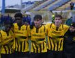 BVB U19