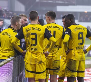 BVB-Fan mit Spielern