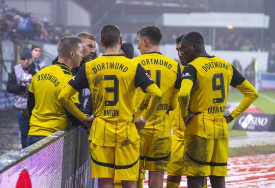 BVB-Fan mit Spielern