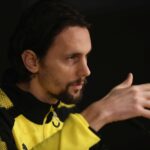 Neven Subotic
