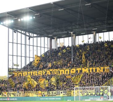 Fans
