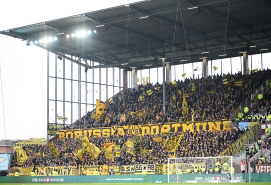 Fans