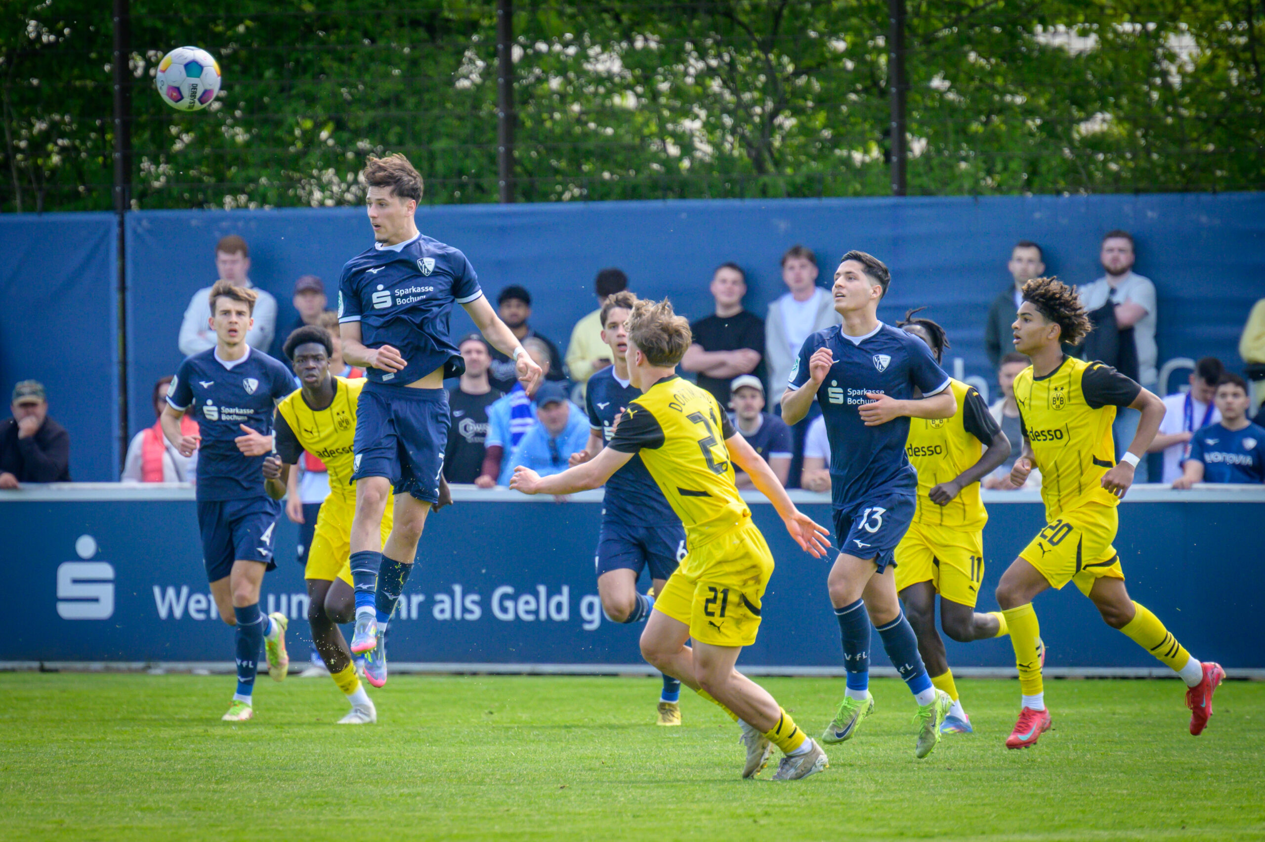 VfL Bochum U19 - Borussia Dortmund U19