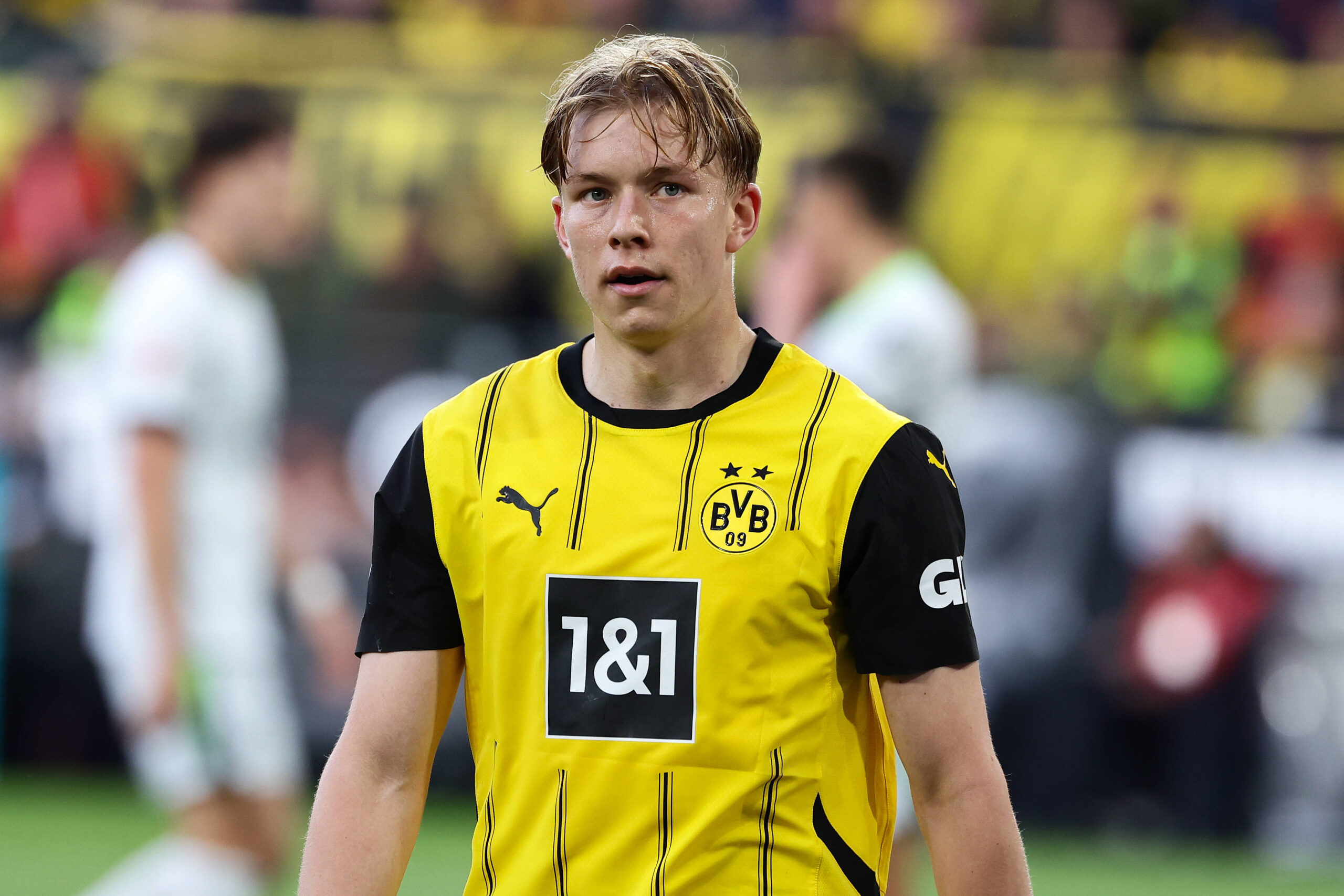 Daniel Svensson