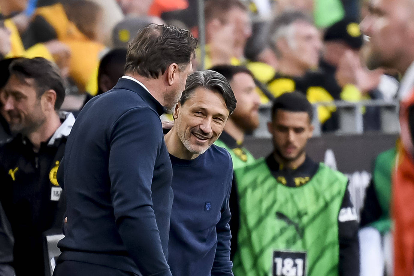 Ralph Hasenhüttl und Niko Kovac