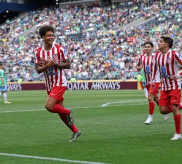 Axel Witsel