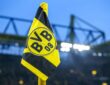 BVB Logo