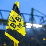 BVB Logo
