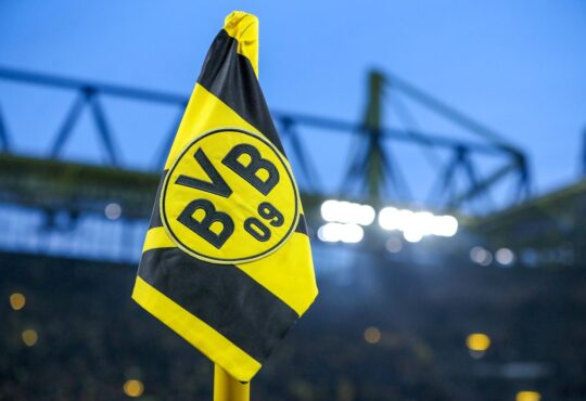 BVB Logo