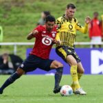 BVB vs. Lille