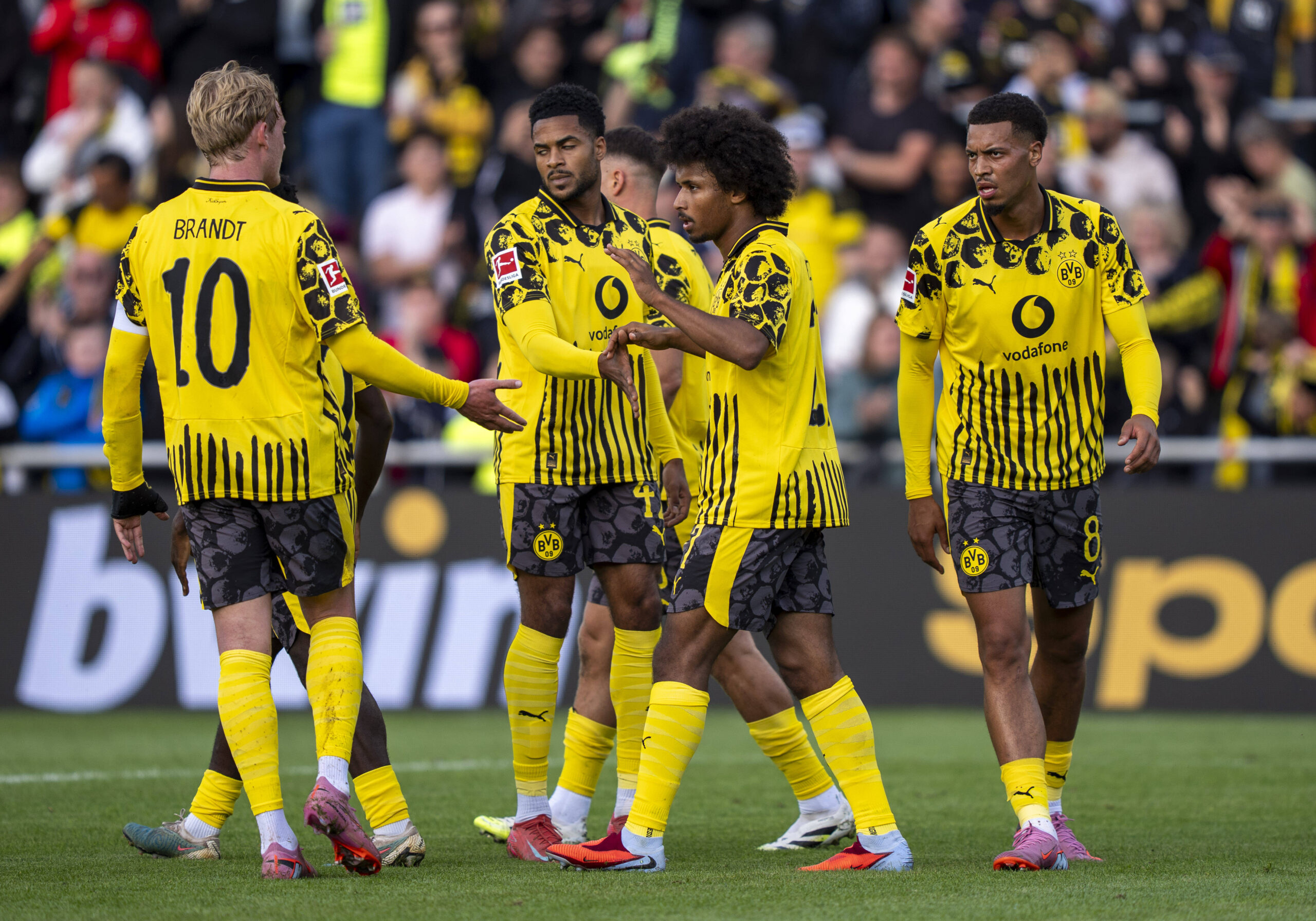 BVB-Spieler