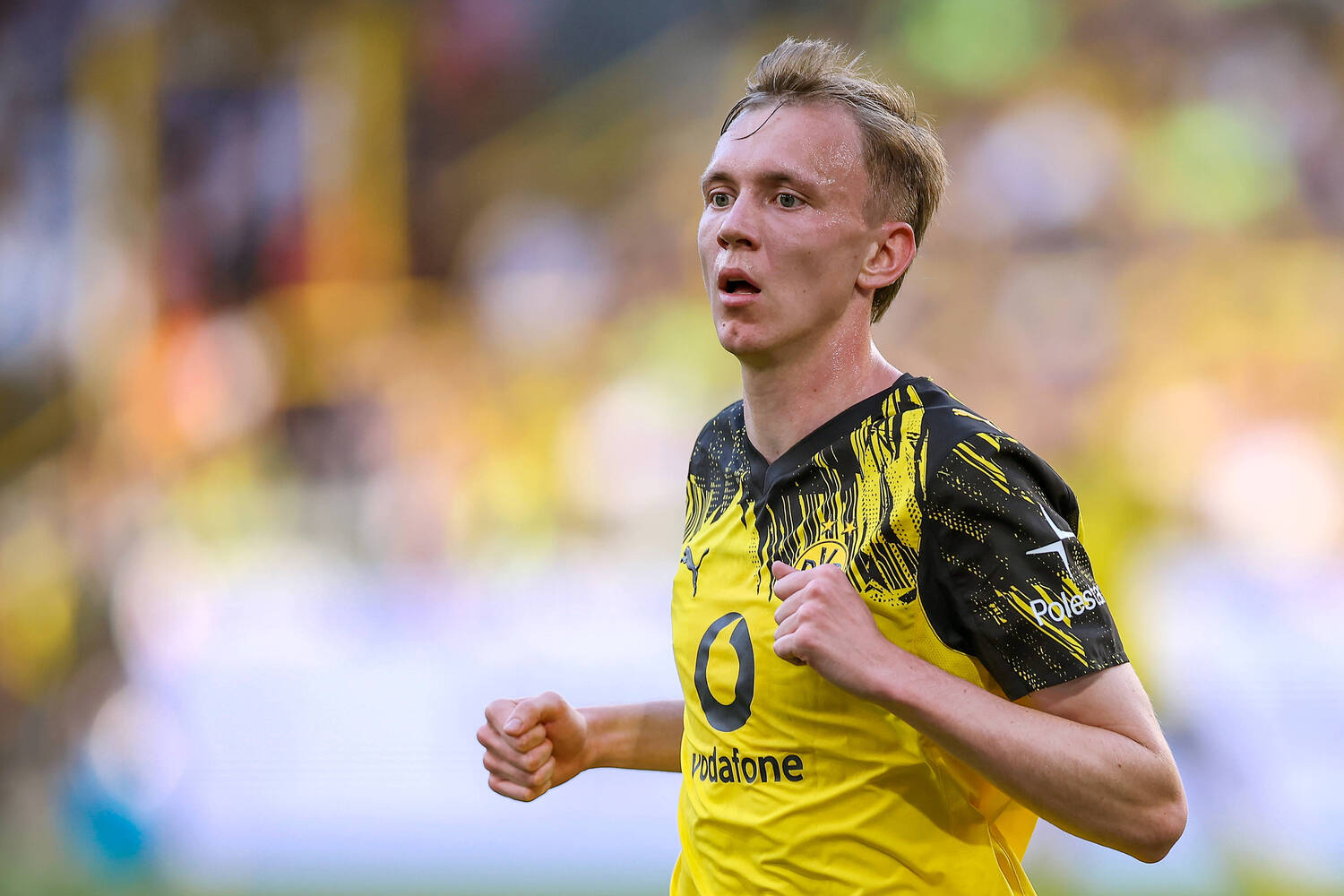 Maximilian Beier