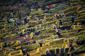 BVB-Fans