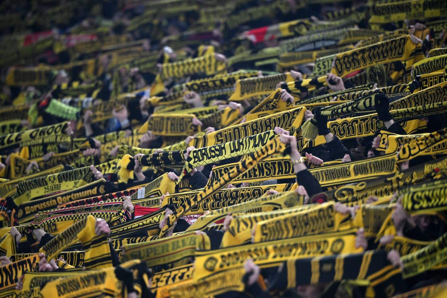 BVB-Fans
