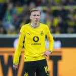 Maximilian Beier