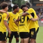 BVB Team